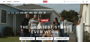 levis overview