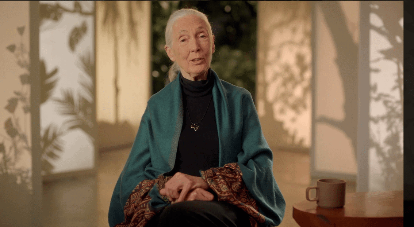 About Dr. Jane Goodall