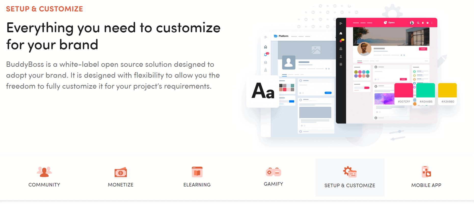 BuddyBoss Customize Details Plugin