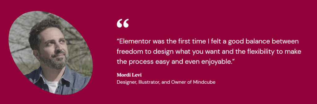 Elementor Review