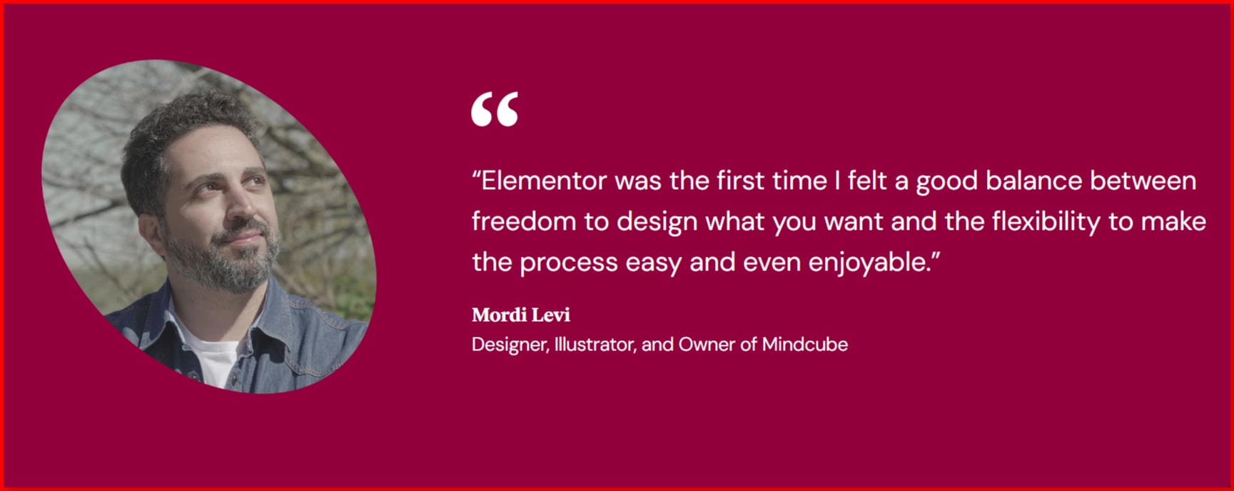 Elementor-Testimonials