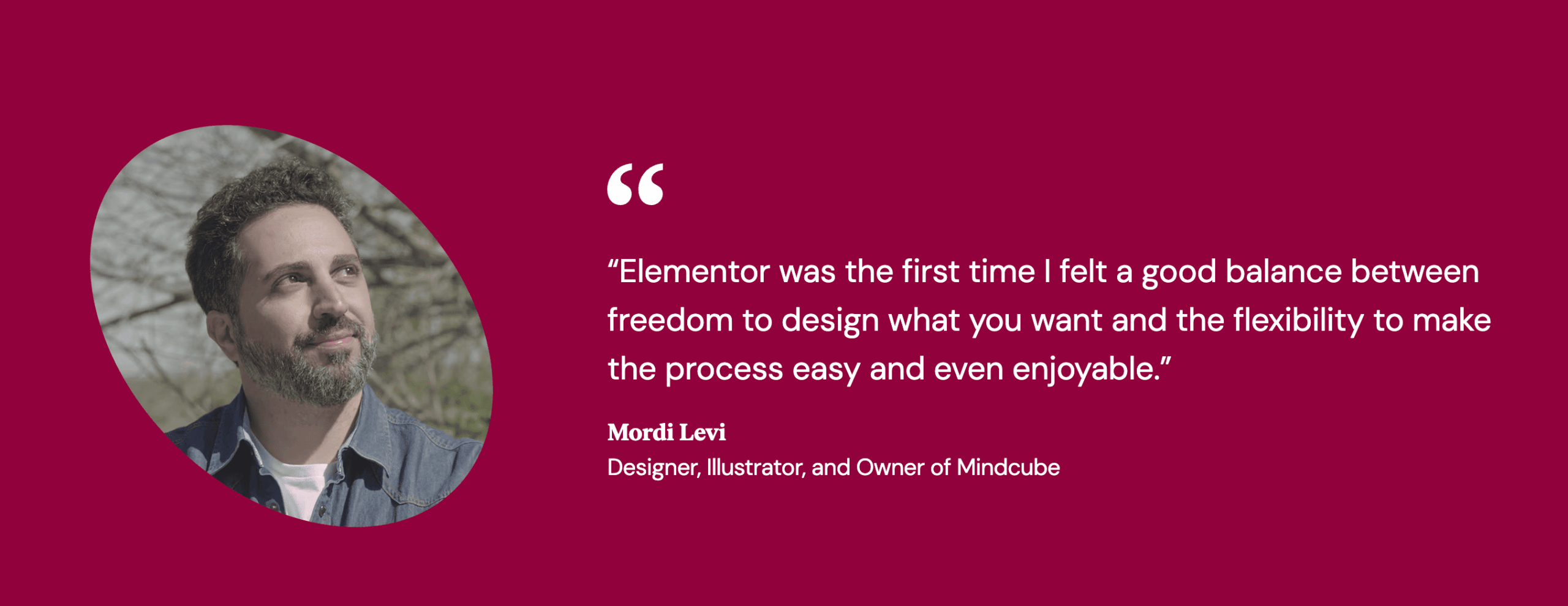 Elementor User Review