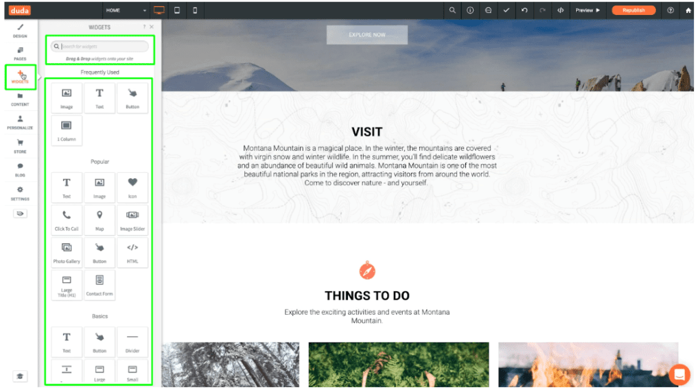 'Widgets’ Section