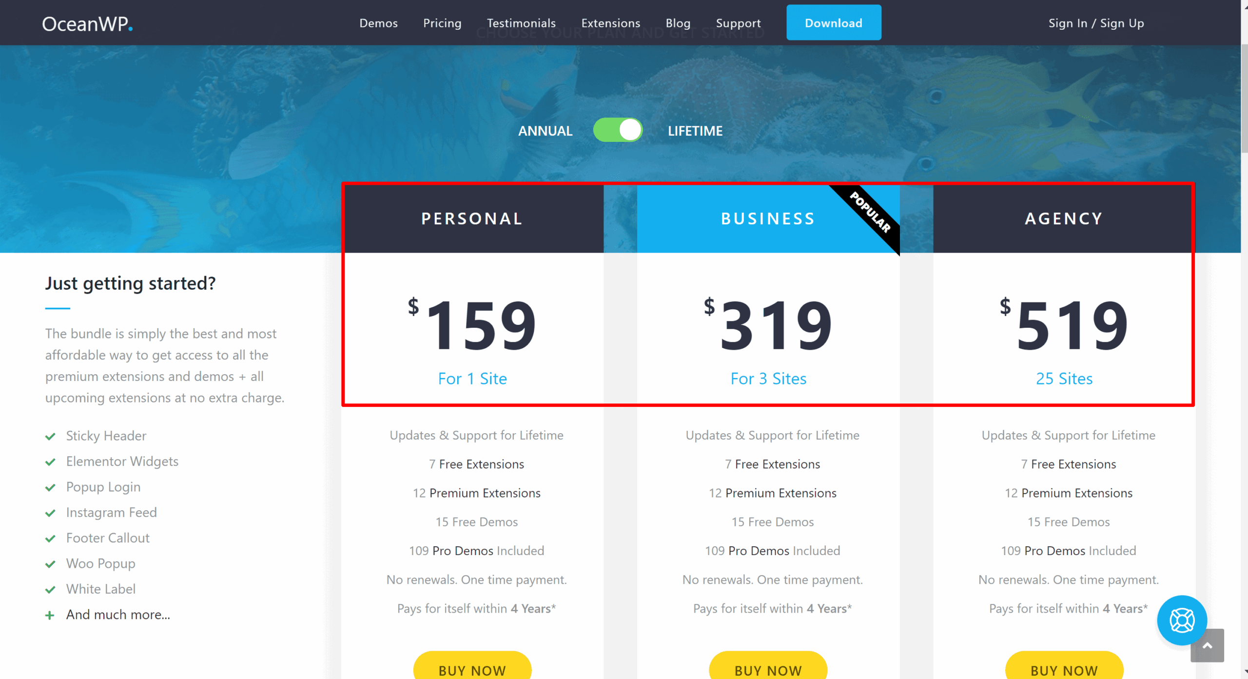 oceanWP lifetime pricing plans